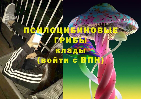 эйфоретик Вязники